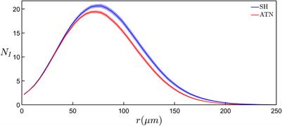 Investigating Fractal Analysis as a Diagnostic Tool That Probes the Connectivity of Hippocampal Neurons